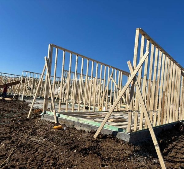 WhatsApp Image 2025-12-02 at 12.43.58 PM